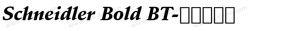 Schneidler Bold BT字体转换